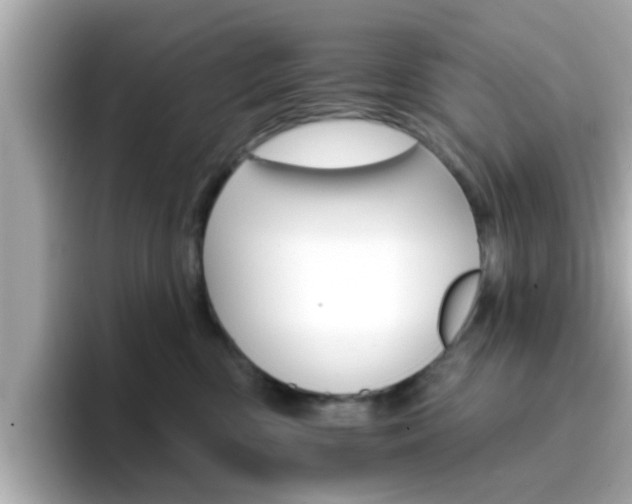 X0000096660426200802121134