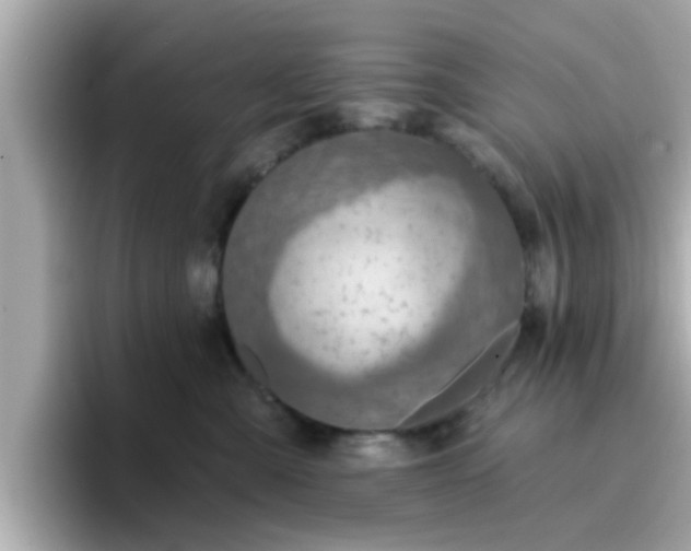 X0000096660427200802121134