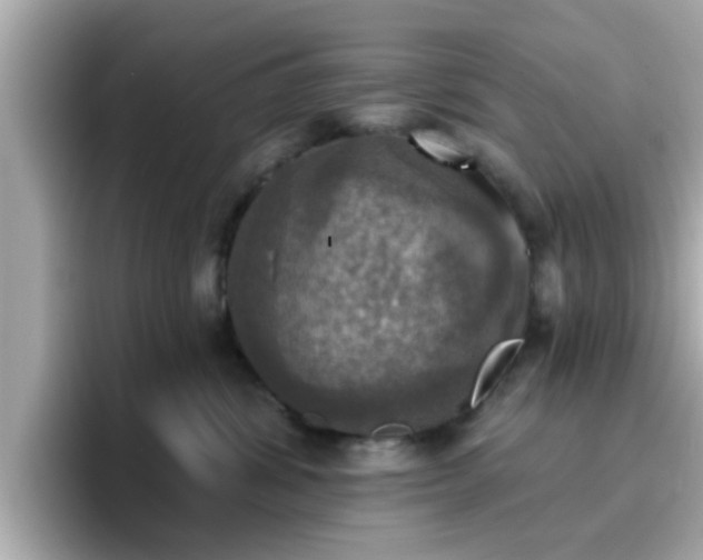 X0000096660428200802121134