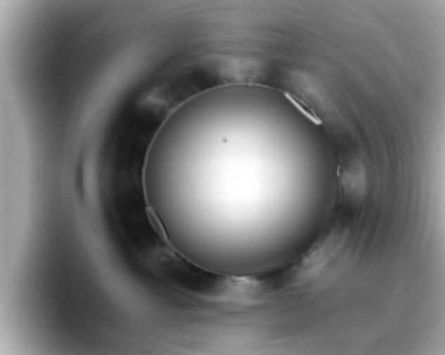 X0000096660429200802121134