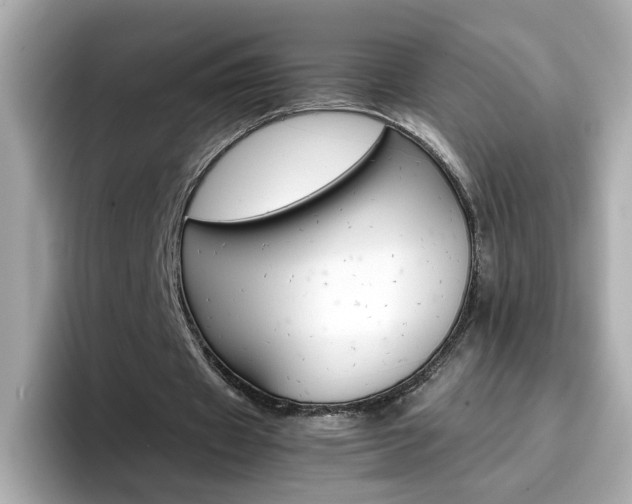 X0000096660433200802121134