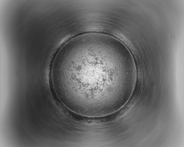 X0000096660434200802121134