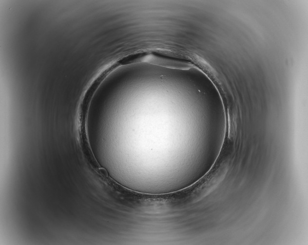 X0000096660435200802121134