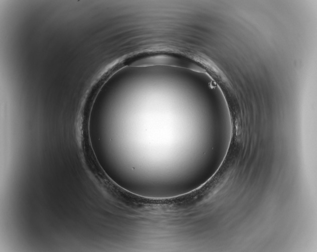 X0000096660436200802121134