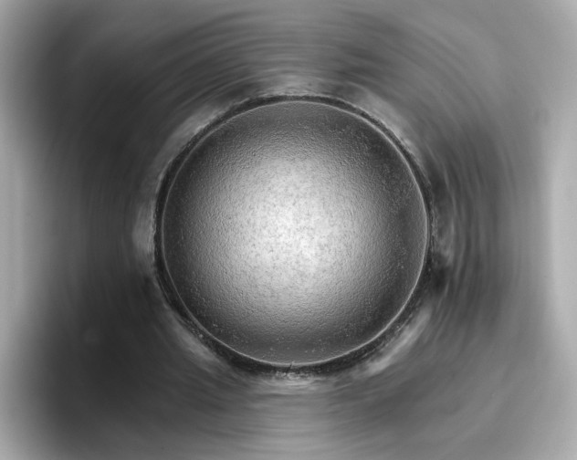 X0000096660437200802121134