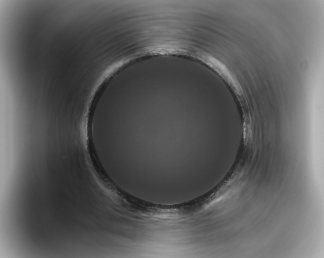 X0000096660438200802121134