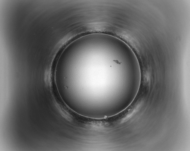 X0000096660439200802121134