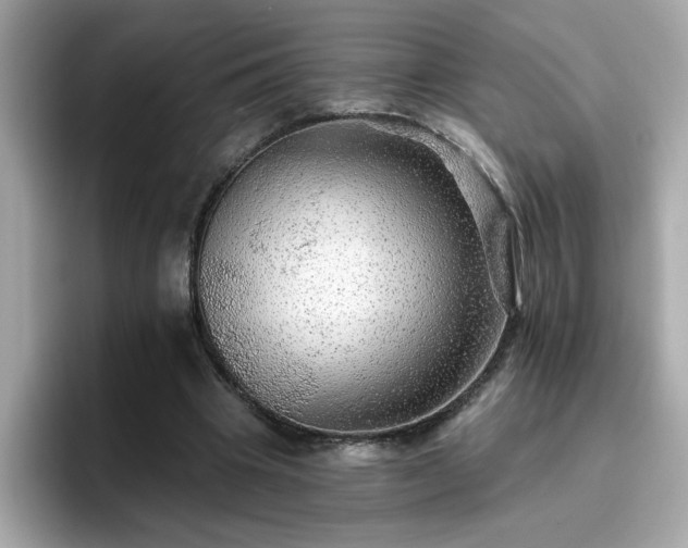 X0000096660441200802121134