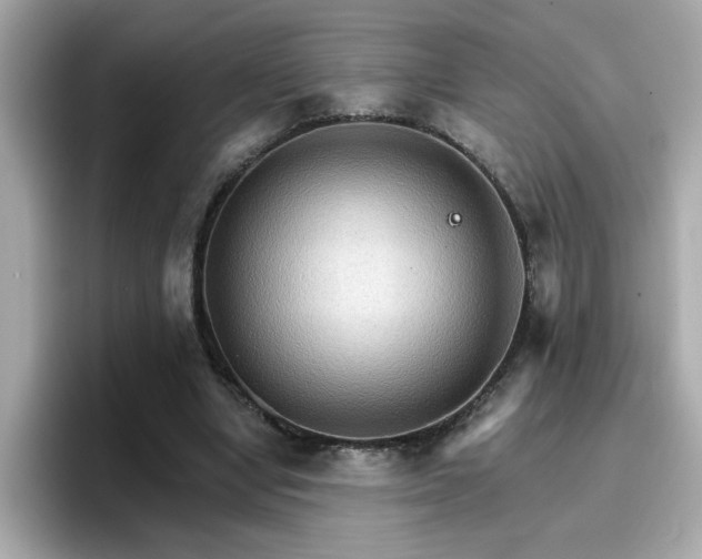 X0000096660442200802121134