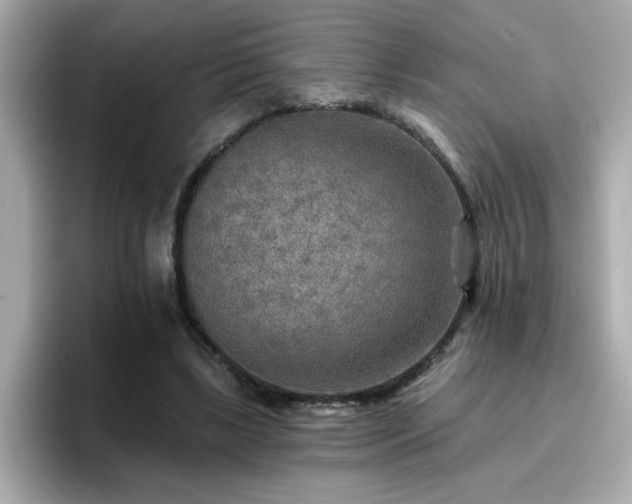 X0000096660443200802121134