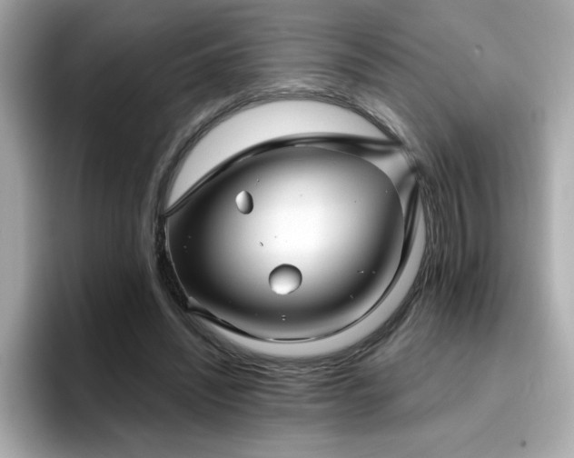 X0000096660444200802121134