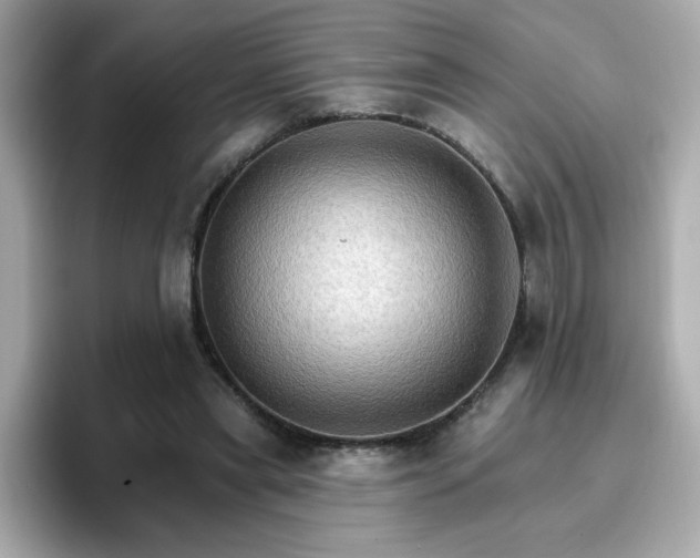 X0000096660445200802121134