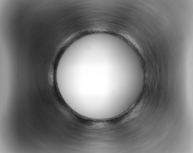 X0000096660446200802121134