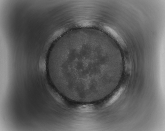 X0000096660447200802121134