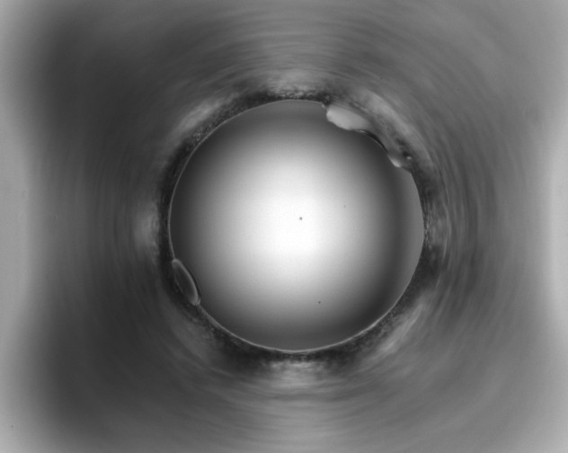 X0000096660448200802121134