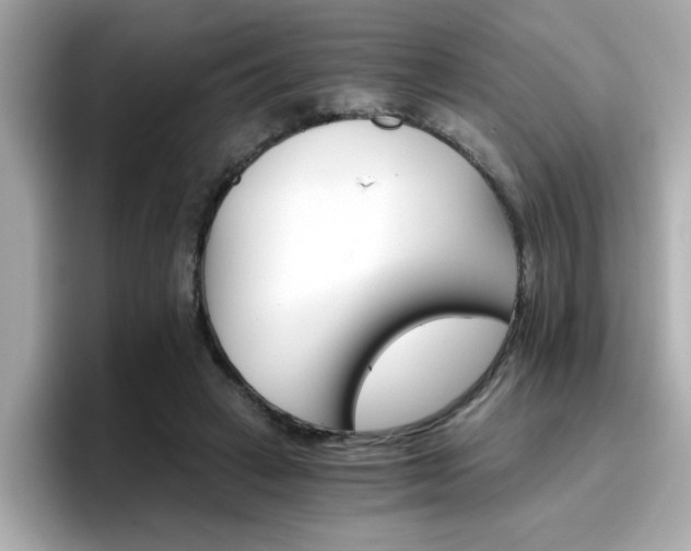 X0000096660449200802121134