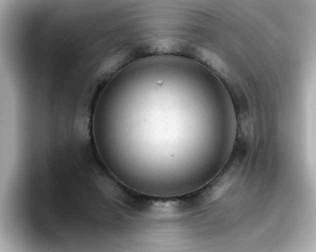 X0000096660450200802121134