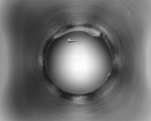 X0000096660452200802121134