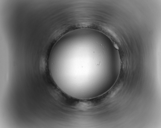 X0000096660455200802121134