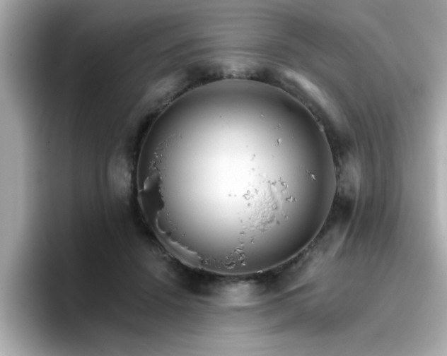 X0000096660456200802121134