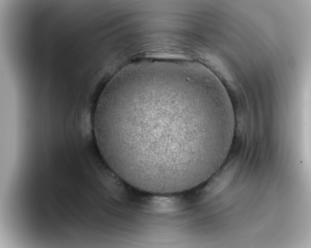 X0000096660457200802121134