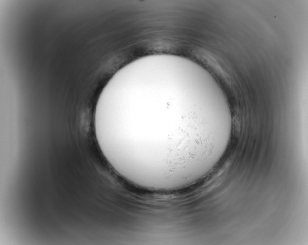 X0000096660458200802121134