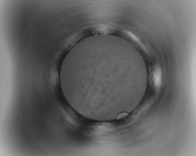 X0000096660459200802121134