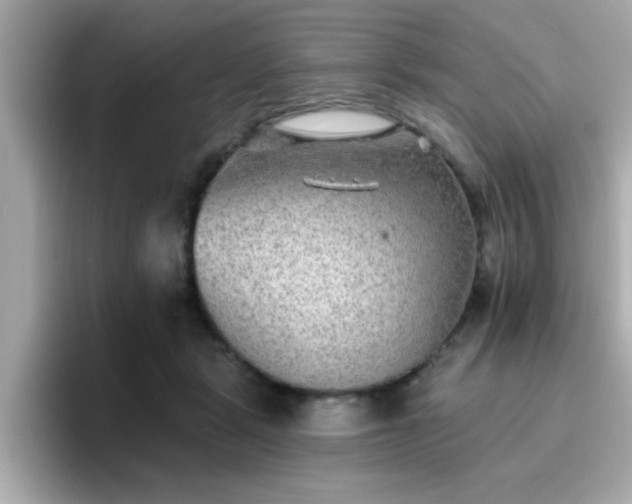 X0000096660461200802121134