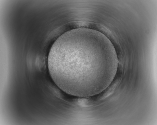 X0000096660462200802121134