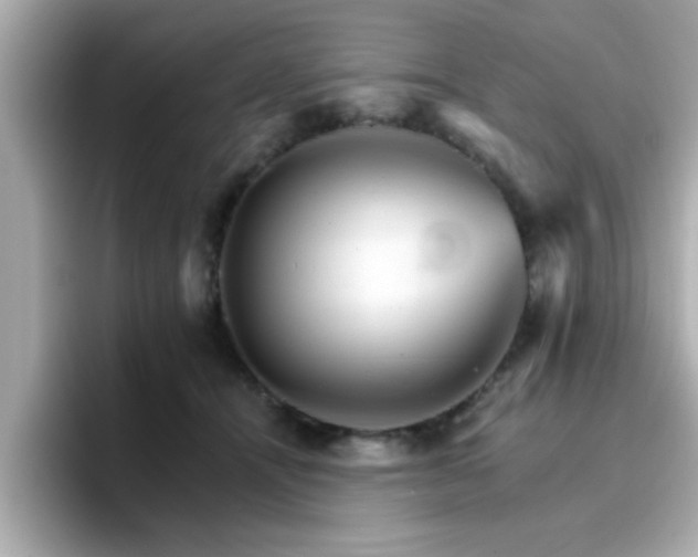 X0000096660464200802121134