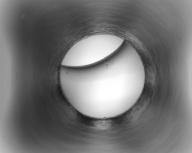 X0000096660465200802121134