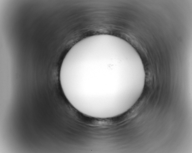 X0000096660466200802121134