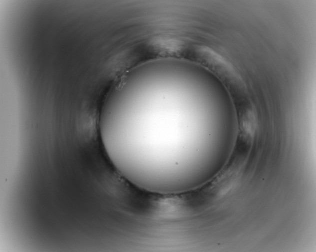 X0000096660468200802121134