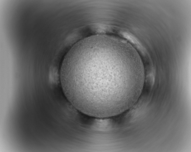 X0000096660469200802121134