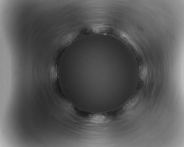 X0000096660471200802121134