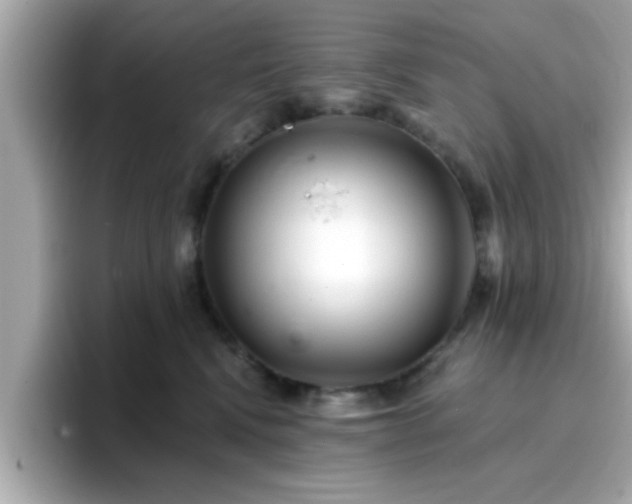 X0000096660472200802121134