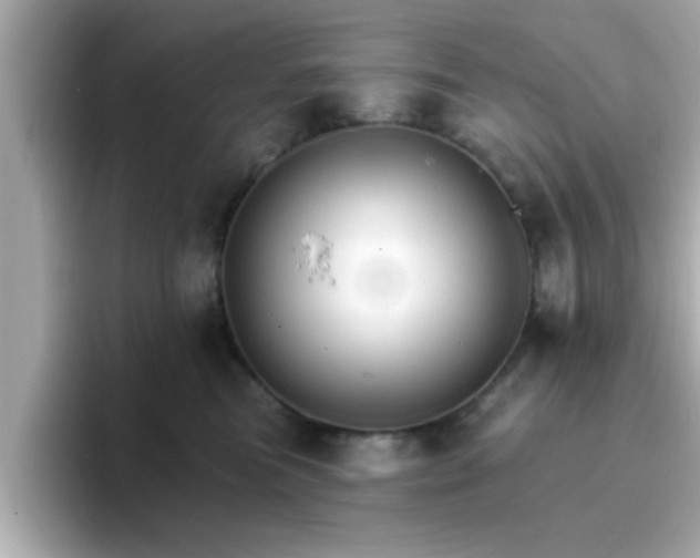 X0000096660473200802121134