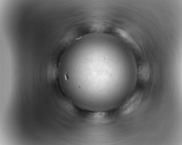 X0000096660474200802121134