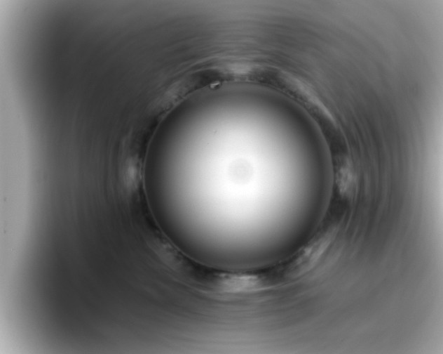 X0000096660476200802121134