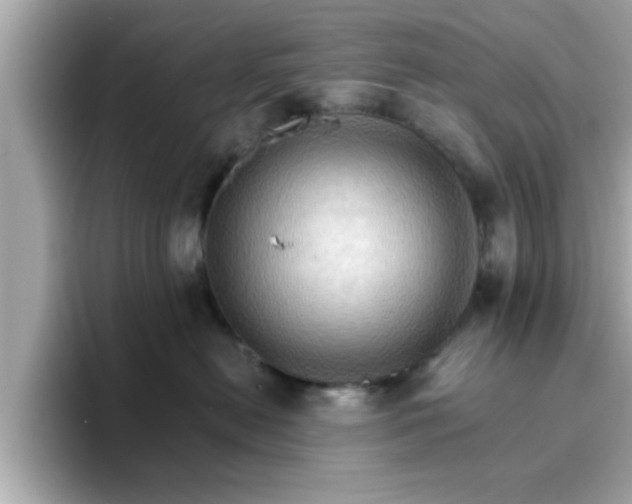 X0000096660478200802121134