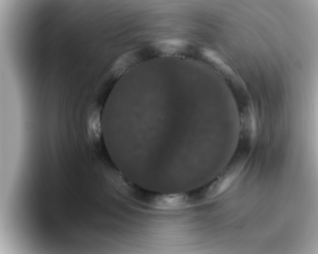 X0000096660479200802121134