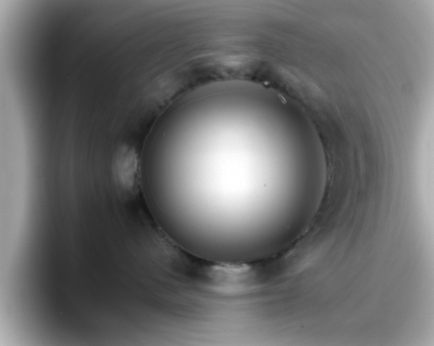 X0000096660480200802121134