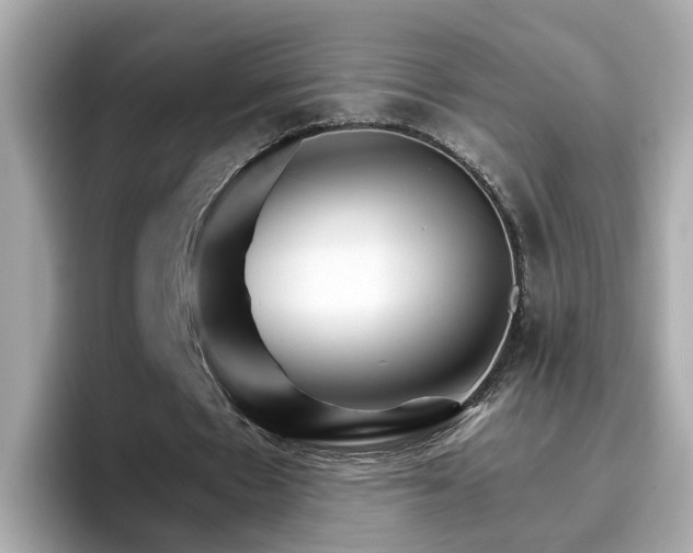 X0000096660481200802121134