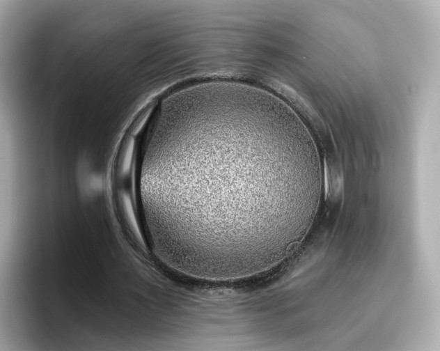 X0000096660483200802121134