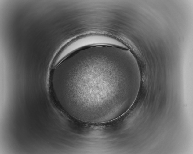 X0000096660484200802121134