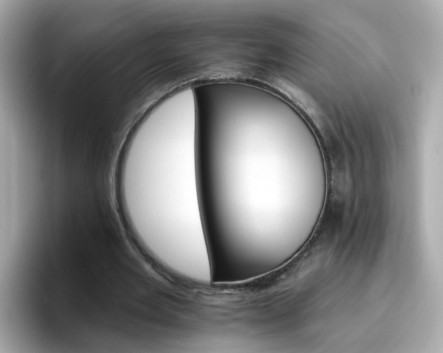 X0000096660485200802121134