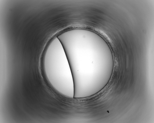 X0000096660487200802121134