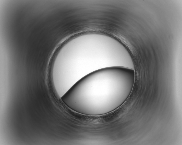 X0000096660488200802121134