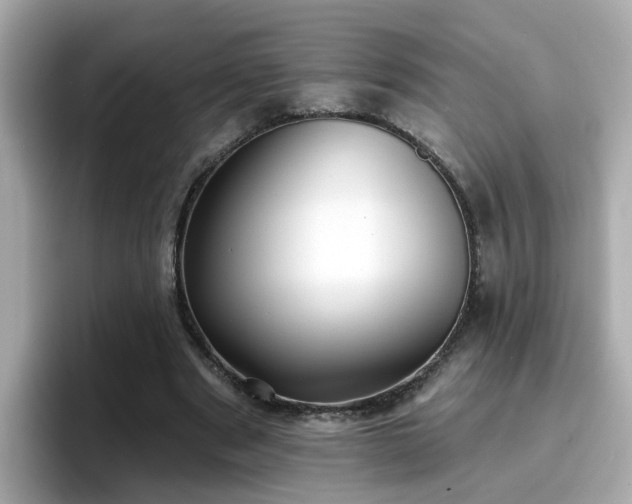 X0000096660489200802121134