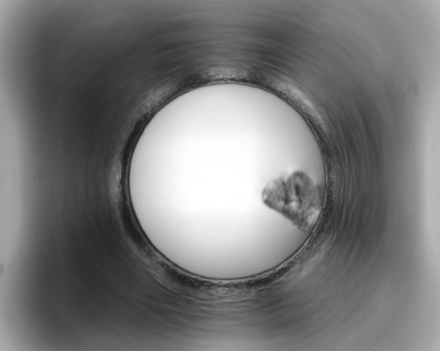 X0000096660490200802121134